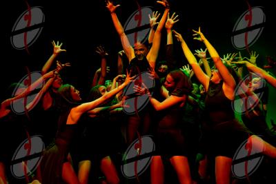 SHOW_00774.jpg